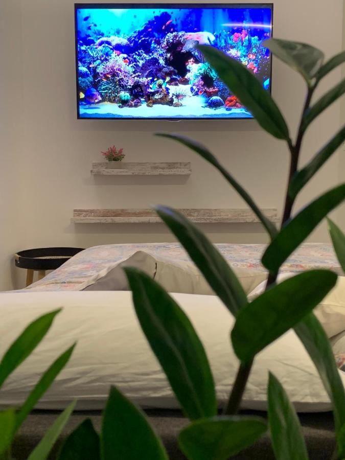 Peaknest - La Tua Vacanza Sul Lago Di Garda Arco Eksteriør bilde